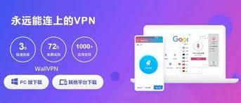 让vpn中文名称